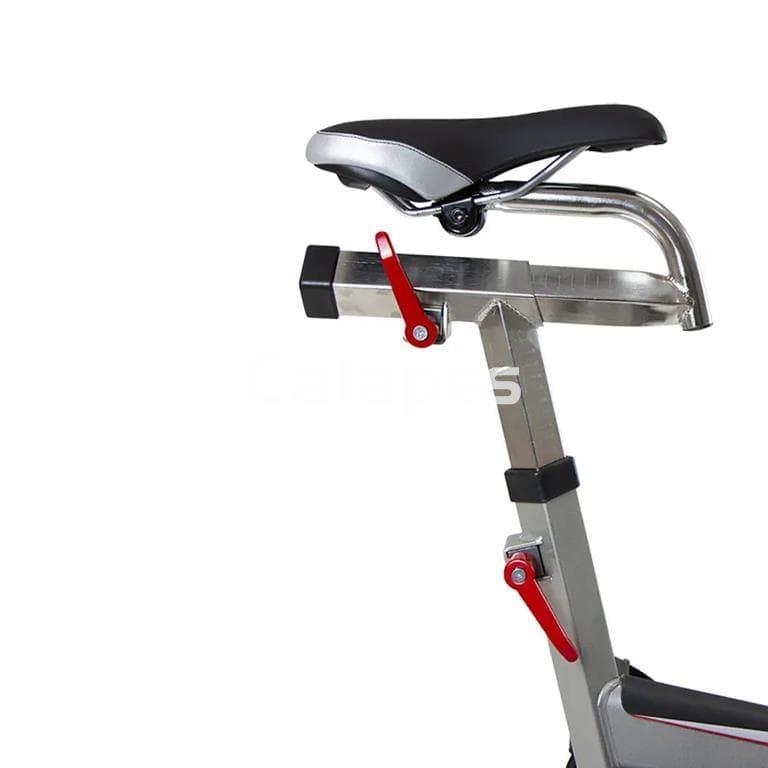 Bicicleta indoor BH Fitness Rex Electronic H921 - Imagen 4