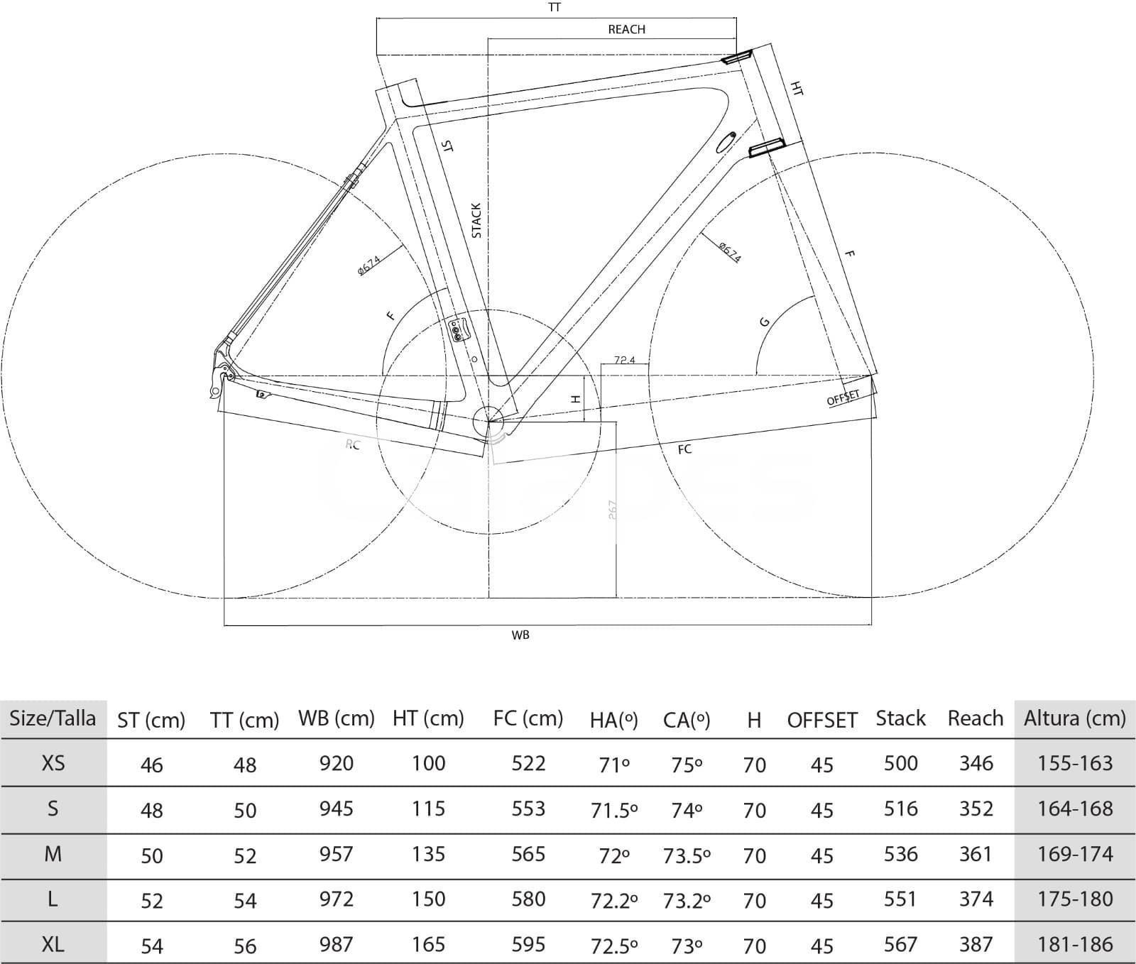 Bicicleta Vitoria Velo SL 02 Campagnolo Centaur 11v - Imagen 4