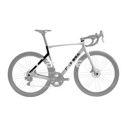 Cuadro De Rosa 70 Disc - Imagen 1