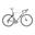 Cuadro De Rosa 70 Disc - Imagen 1