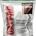 Oxypro Recovery Shake 1000 gr sabor Chocolate - Imagen 1