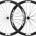 Ruedas FFWD F4R DT240 Cubierta - Imagen 1
