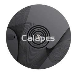 Ruedas RACING PARTS™ R_P/VNYL_RECORD - Imagen 1