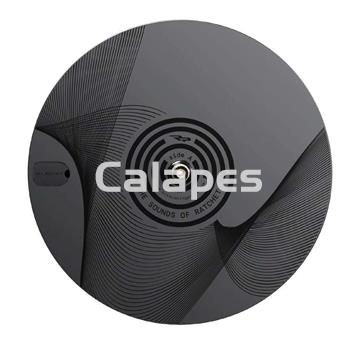 Ruedas RACING PARTS™ R_P/VNYL_RECORD - Imagen 1